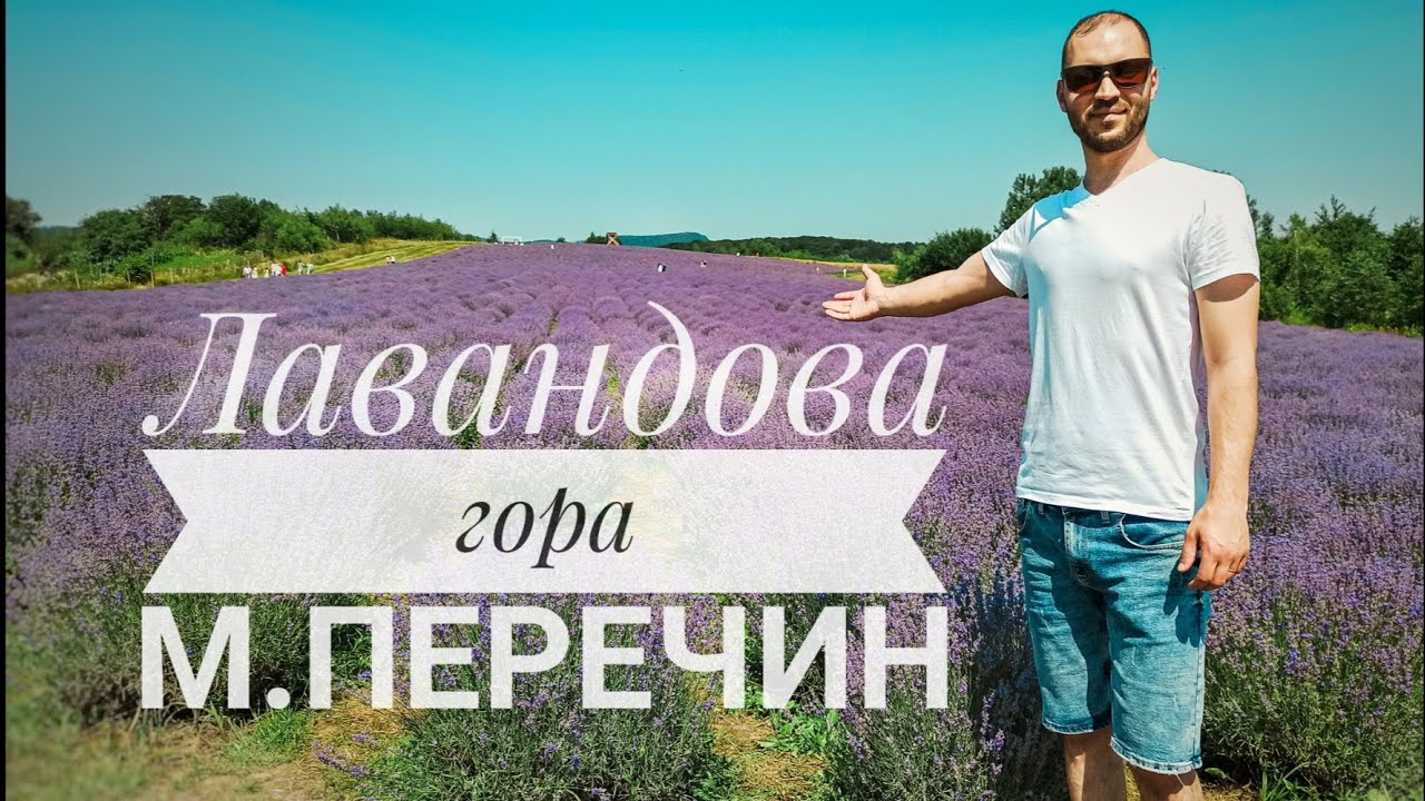 Лавандова гора м.Перечин Закарпаття