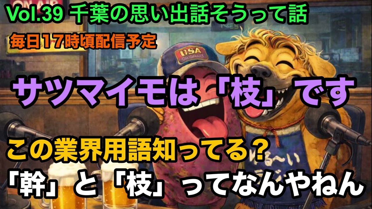 #39 千葉の思い出話そうって話【1泊3日弾丸ツアー】#とさラジ #ラジオ#bgm #千葉 #御殿場アウトレット 