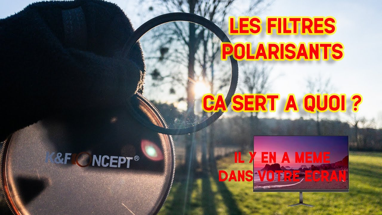 Le filtre polarisant : voir l’invisible (photo, LCD et science)