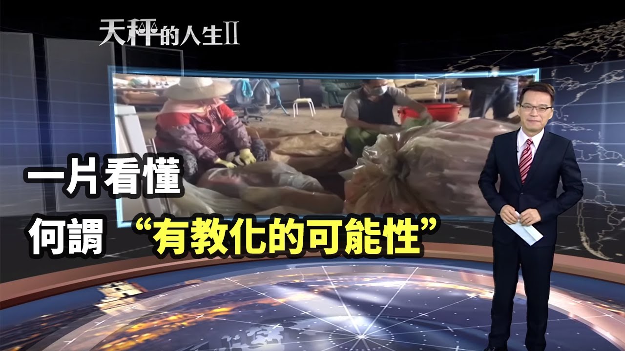 司法院天秤2 教化可能性