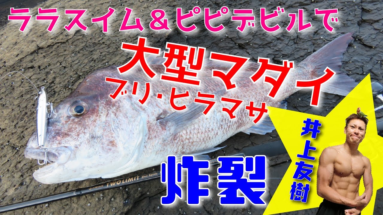 試作ロッド＆プラグに大型真鯛・ブリ・ヒラマサが炸裂‼井上スタイルで攻略するショア青物キャスティングゲーム