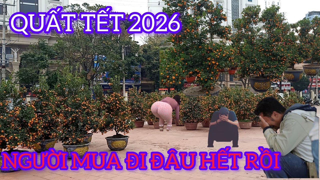 QUẤT TẾT 2026 NGƯỜI MUA CHƯA THẤY ĐÂU QUẤT CỨ LÊN BẠT NGÀN 