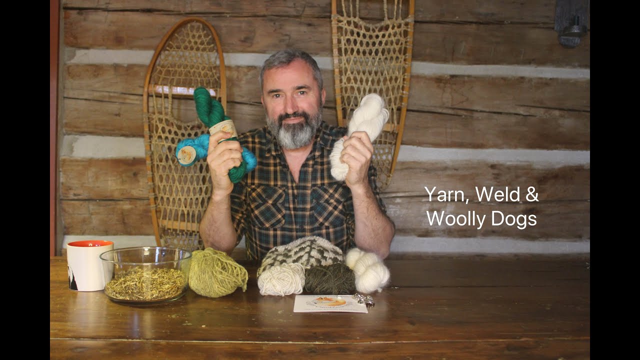 Yarn, Weld and Woolly Dogs