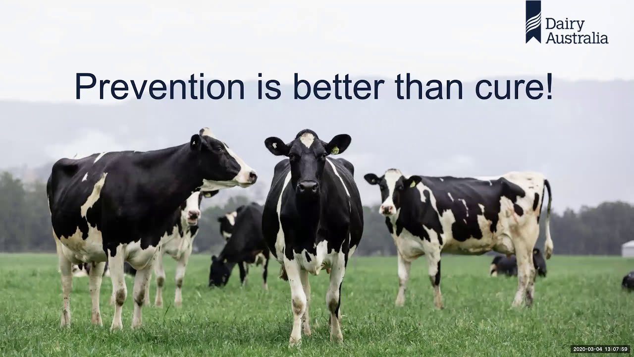 Clinical mastitis management - Countdown advisor webinar
