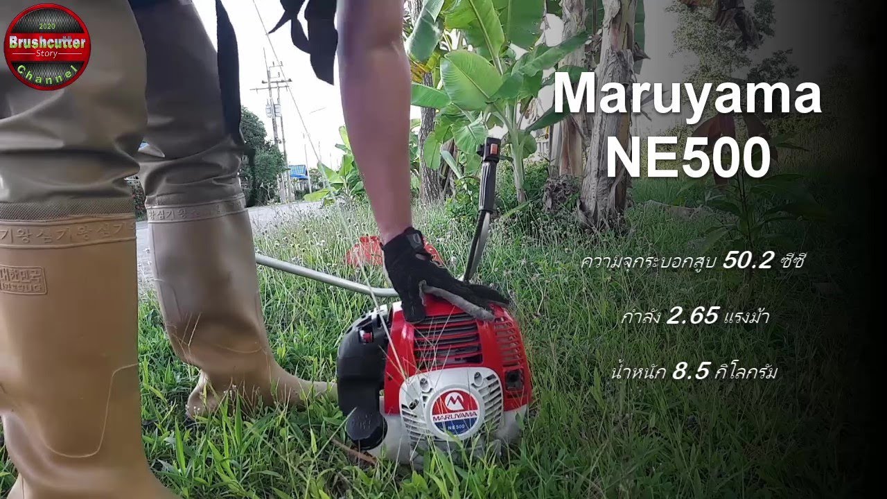 ตัดหญ้าหน้าบ้านกับ Maruyama NE500 ตัวแรง