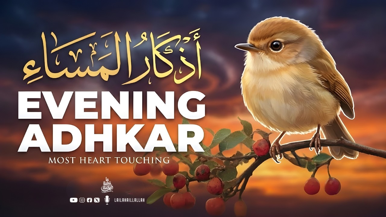 EVENING DUA  (أذكار المساء)  | Peaceful Sleep & Protection at Night | Omor Hisham Al Arabi