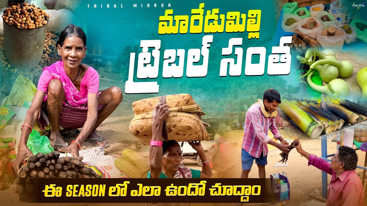 Maredumilli Tribal Market : మారేడుమిల్లి గిరిజన సంత ఈ seasonలో ఎలా వుంటుందో తెలుసా @TribalMirror