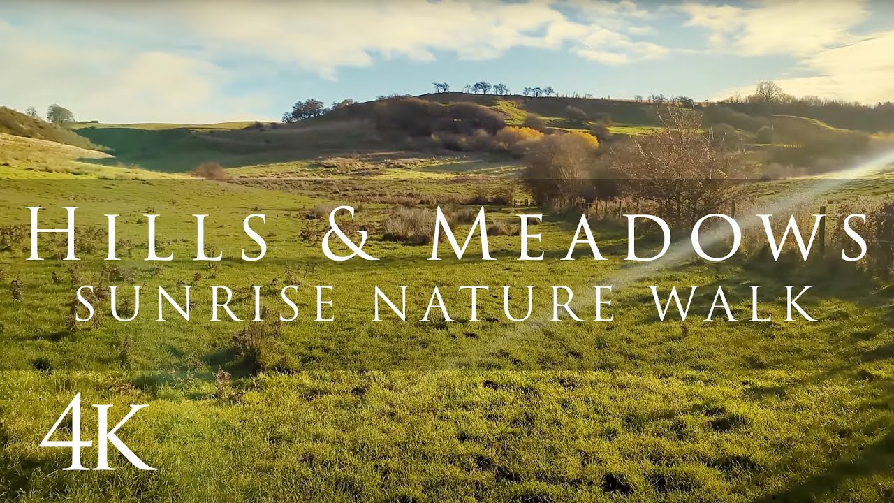 Early morning relaxing walk along the Viking Way - English countryside. Lincolnshire 4k
