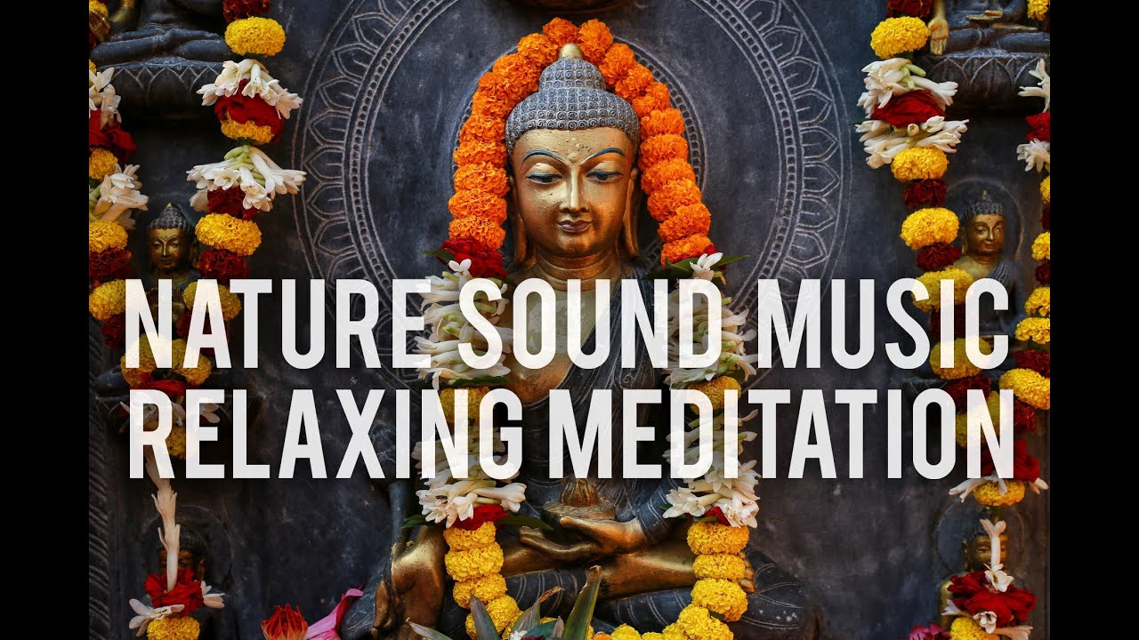 Nature Sound Music - Relaxing Meditation 8 Hours - Water Sounds