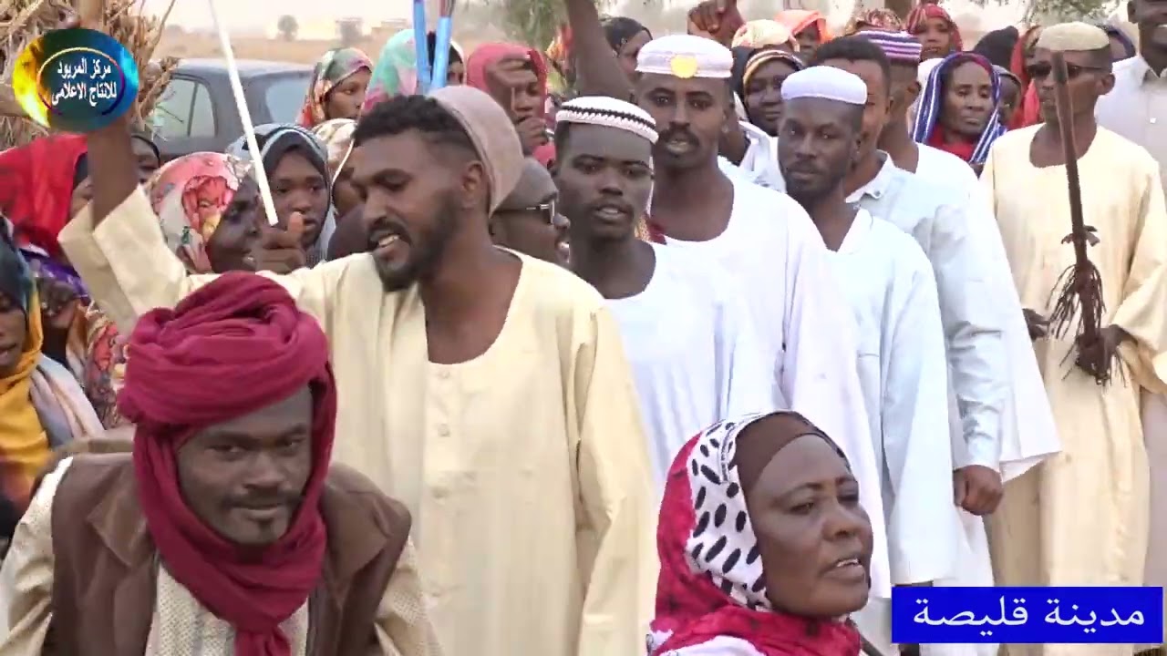 افراح مدينة قليصة