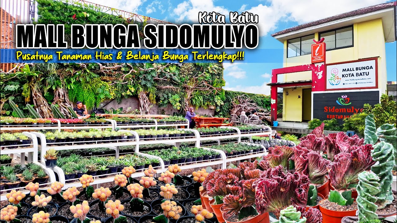 KELILING KAWASAN PASAR BUNGA SIDOMULYO BATU || TERNYATA SEPERTI INI MALL BUNGA KOTA BATU❗