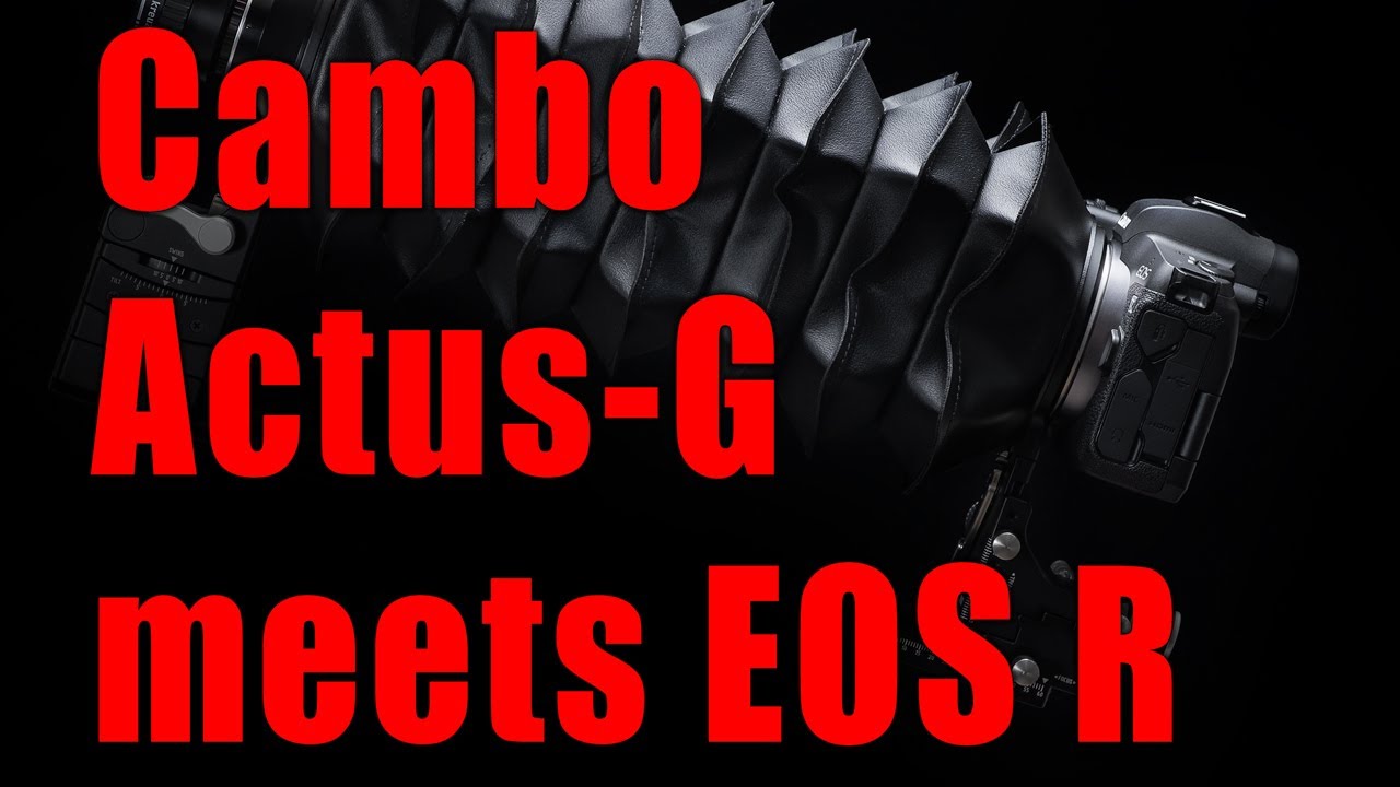 Cambo Actus-G & Canon EOS R  + EOS R VS GFX50s