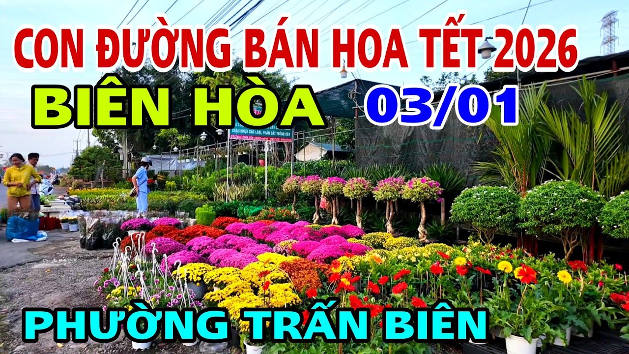 CON ĐƯỜNG HOA TẾT 2026 TẠI BIÊN HÒA PHƯỜNG TRẤN BIÊN .