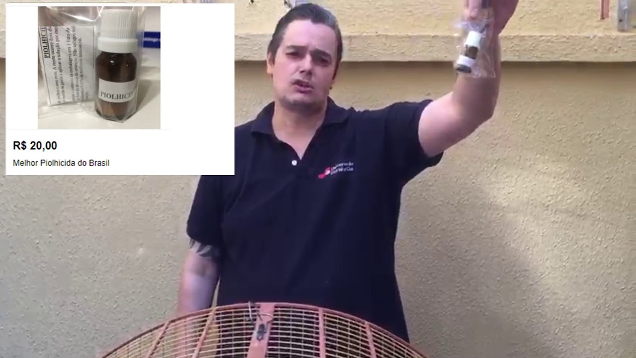 Como identificar Piolho /Piolho de Pena/Acaro de Pena e Tratar