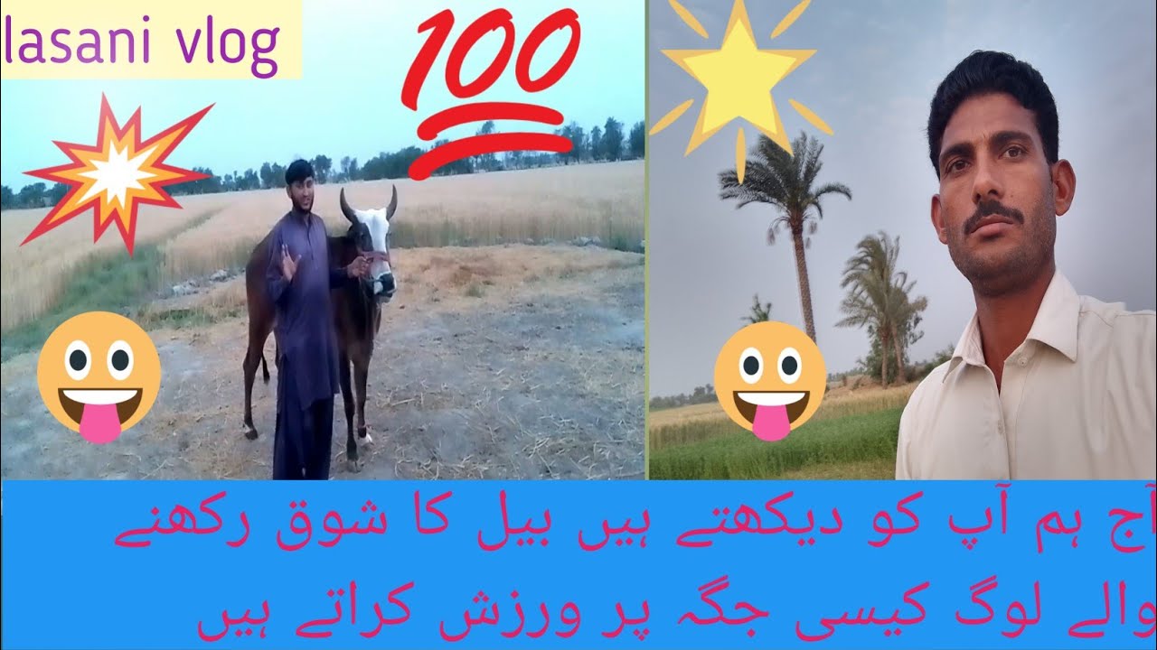 dandan nay shokeen|Bulls|Dhani Bull Lovers