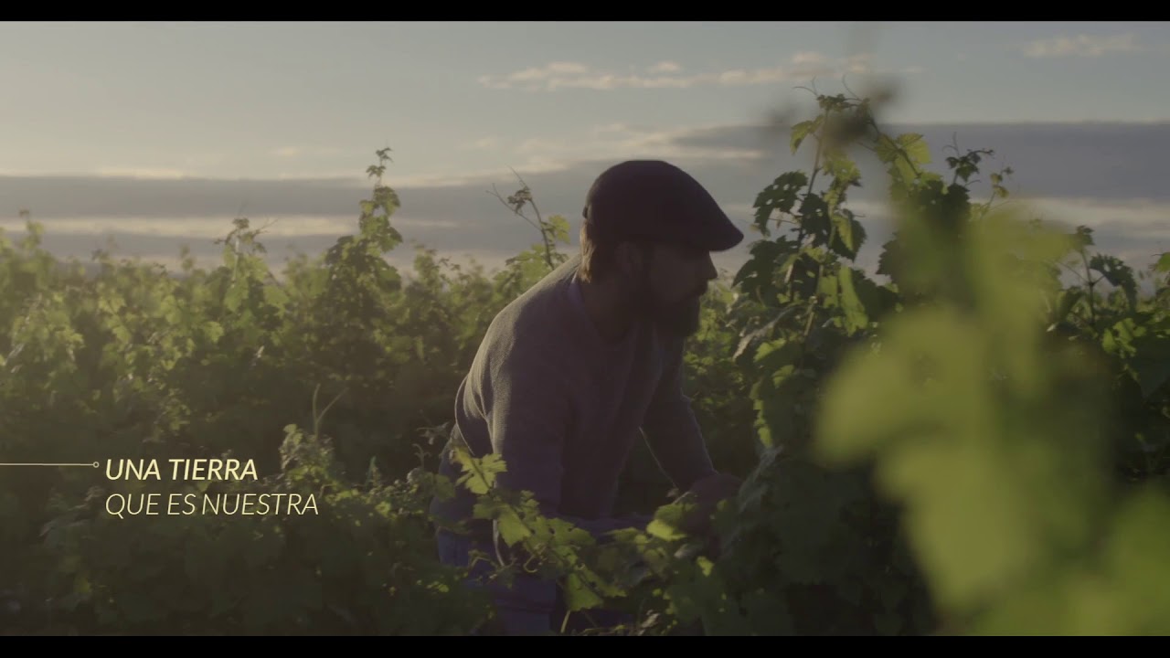 DOP Somontano - Amor a la tierra
