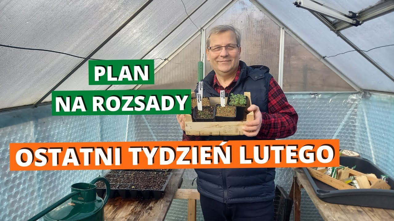 Jak dbać o rozsady? Ostatni tydzień lutego. Siewki i rozsady pod koniec lutego.