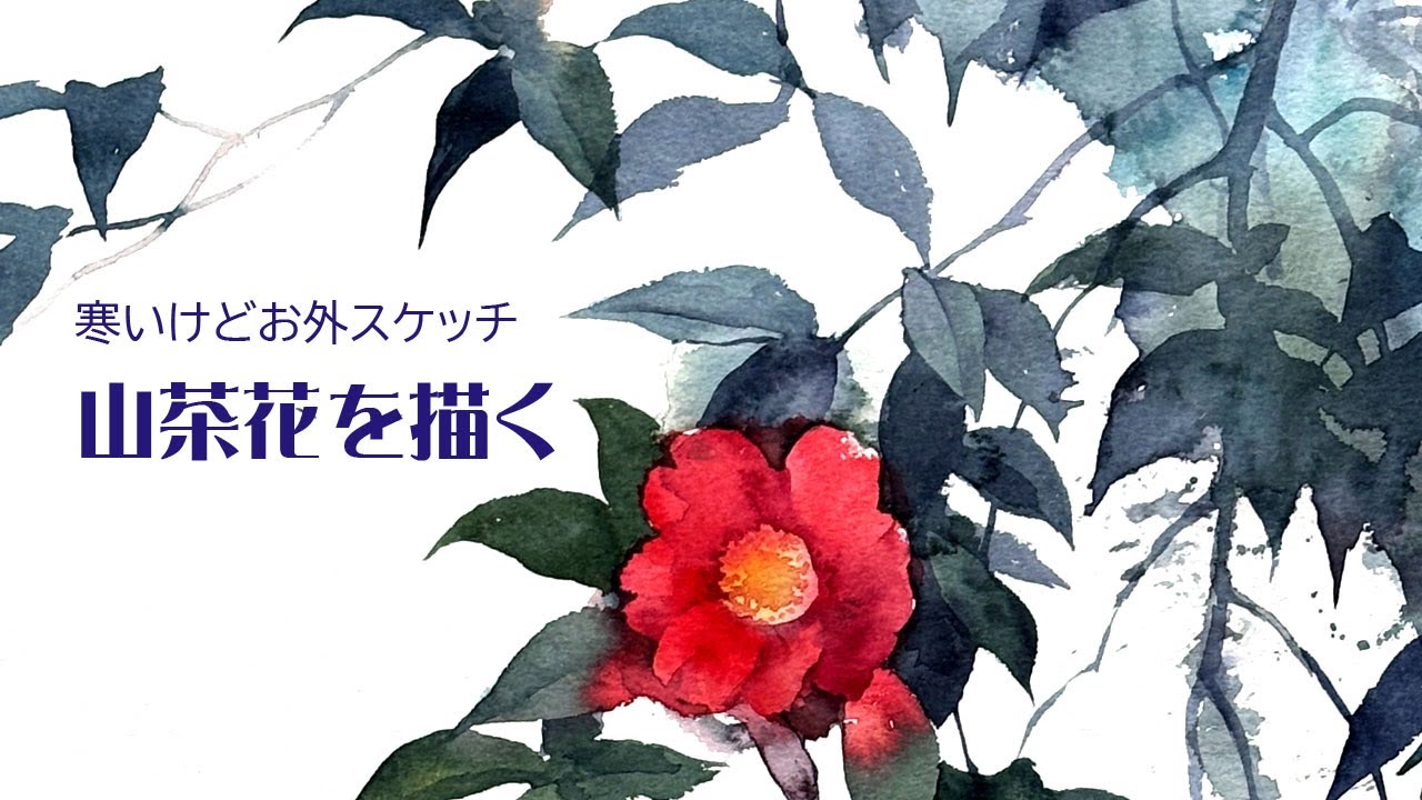 下描きなしでスケッチ！山茶花を描く