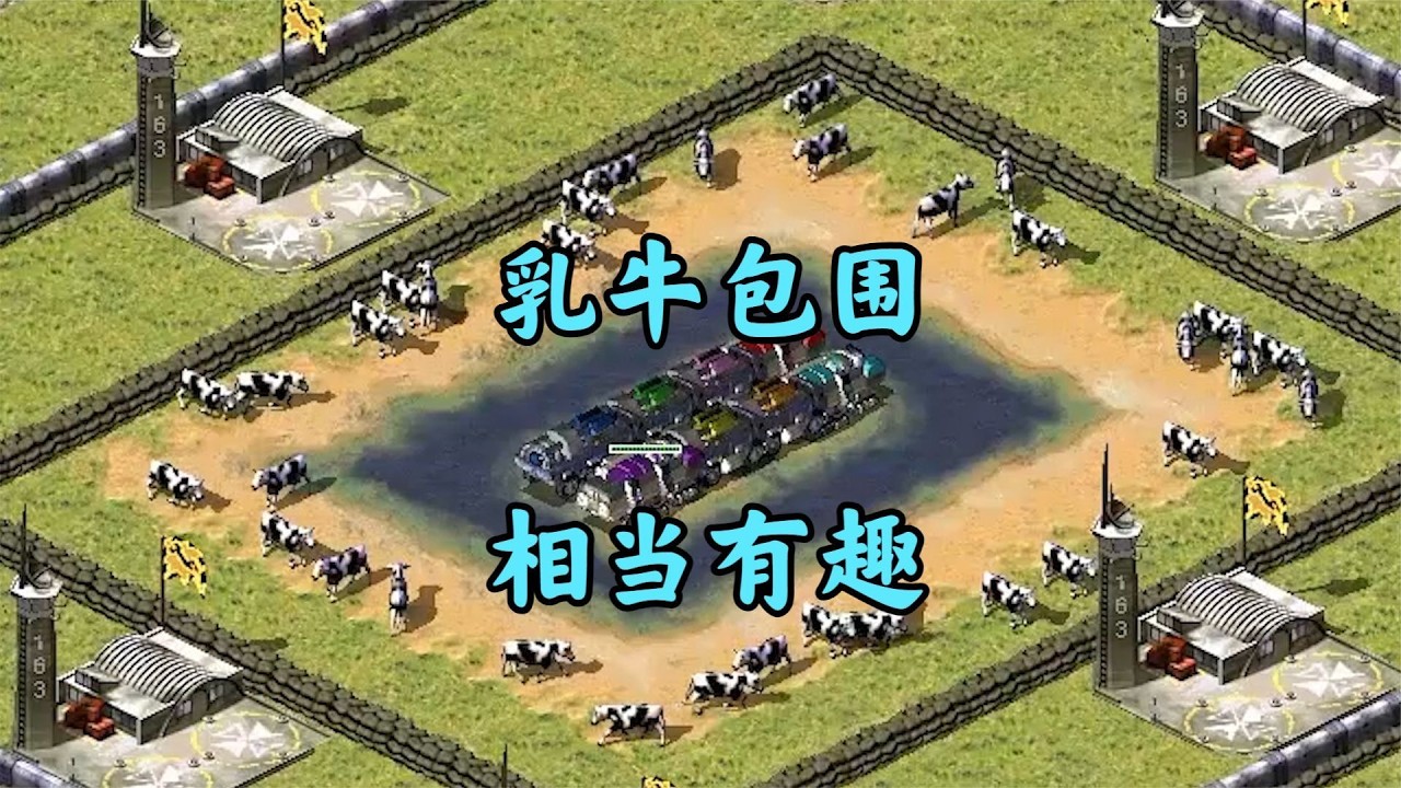红警奶牛一块地!看谁抓的牛多就盆满钵满!