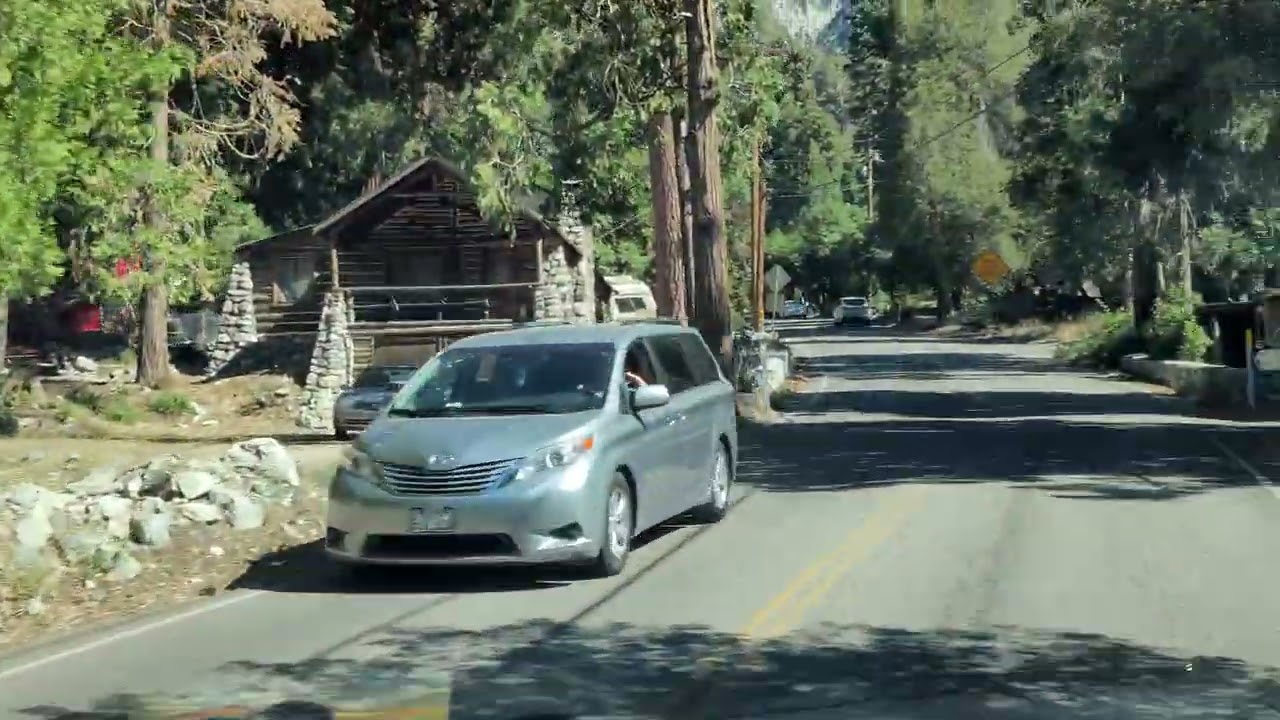 Bear issues in Forest Falls CA. Live drive July 3 2022. Jamboree