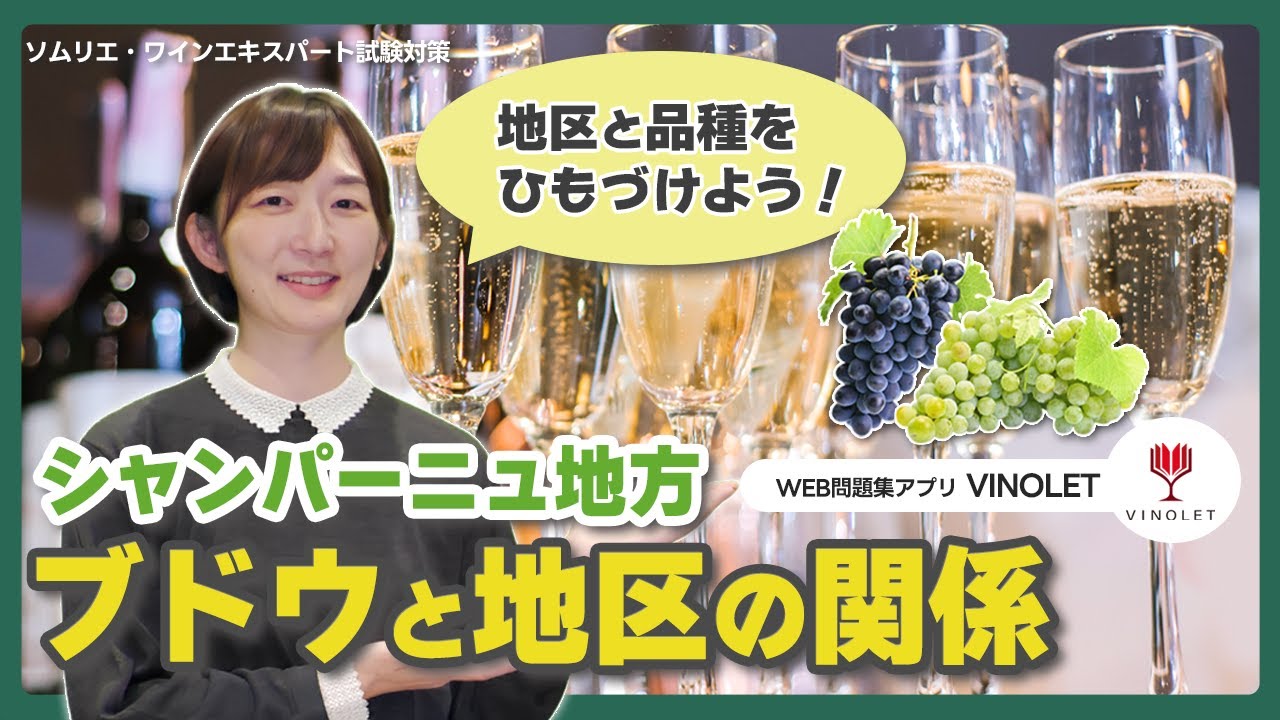 #6  シャンパーニュ地方【ソムリエ・ワインエキスパート試験対策】