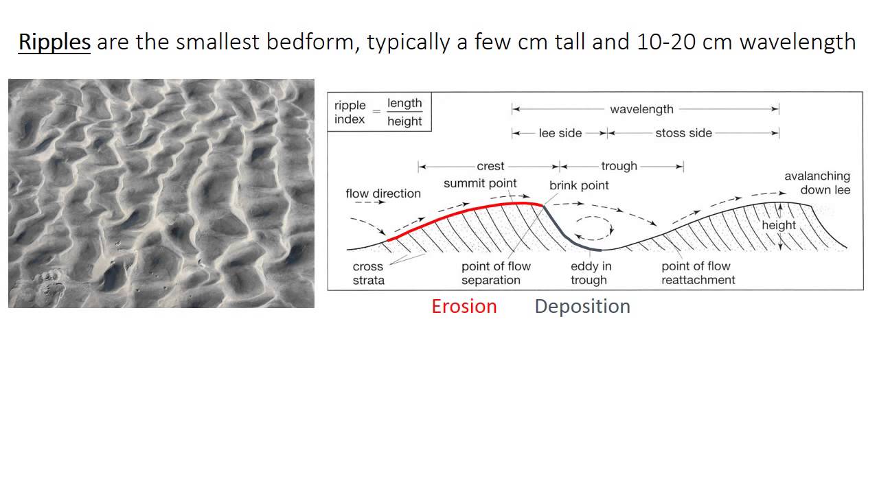 3 - Unidirectional bedforms