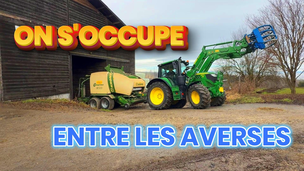 On avance malgré la pluie : bois + bétail + bricolage