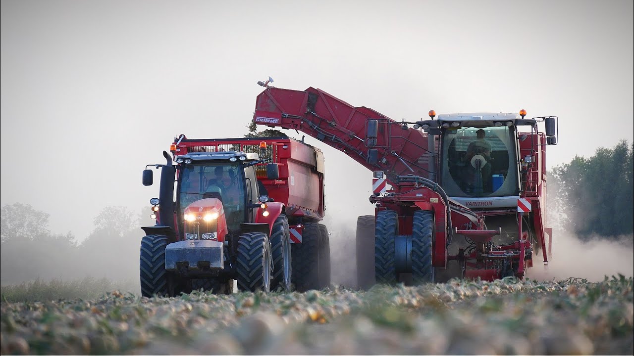 Harvest 2025 | Loading Unions | Grimme Varitron 270 | Akkerbouwbedrijf Steeghs | Beco Super 2000