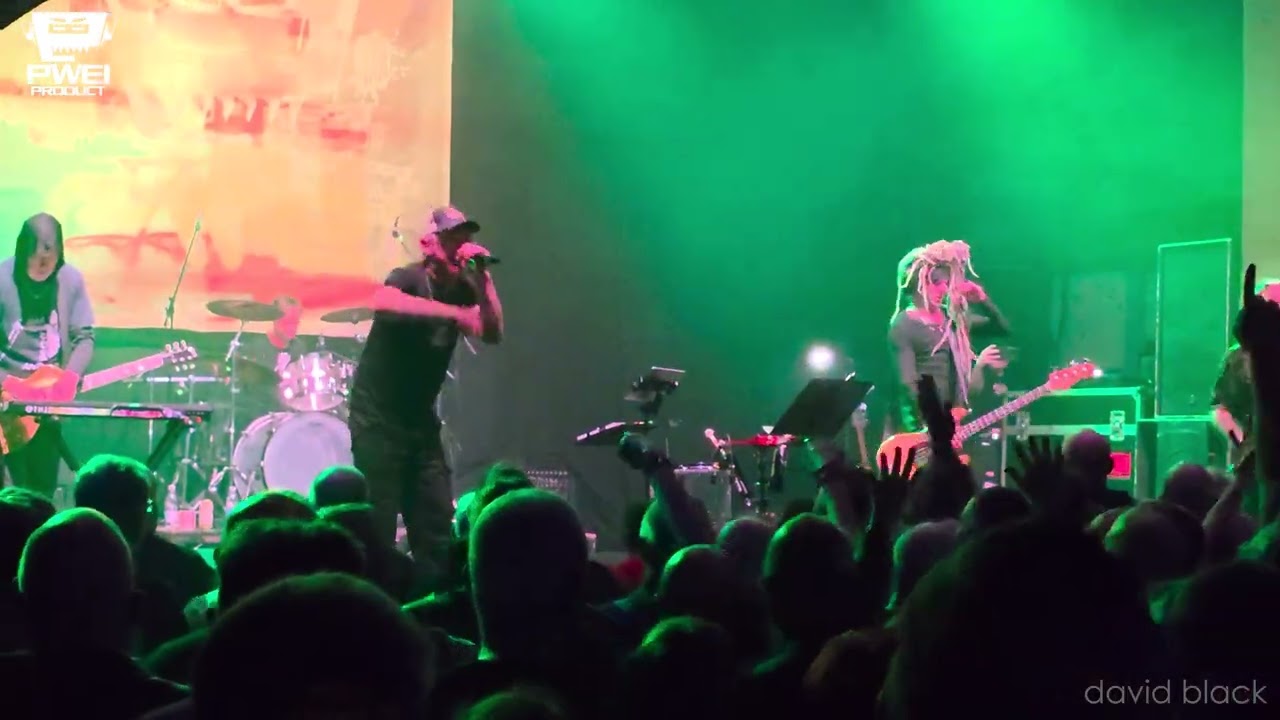 Pop Will Eat Itself -Their Law (Ain't Our Law) - Birmingham- 24th October 2025