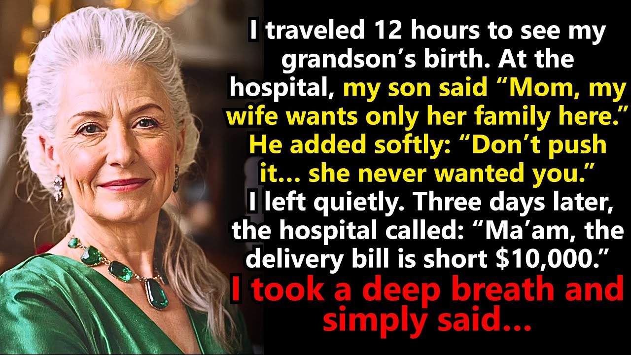 My Son Kicked Me Out at My Grandson’s Birth: “She Only Wants Family.” They Never Imagined…