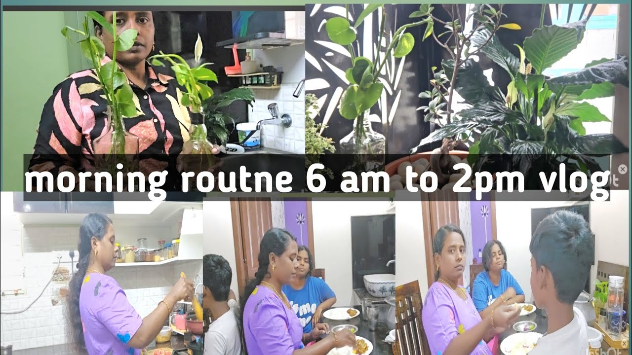 Daily vlog ll 6 am to 2 pm vlog ll pottatto masala curry ll instent dosa recipe ll chiken curry ll 