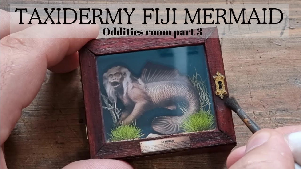 Fiji mermaid taxidermy