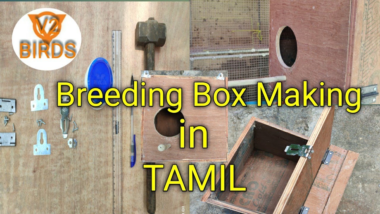 How to make breeding box in tamil for  lovebirds, cocktails,etc... |V2BIRDS|