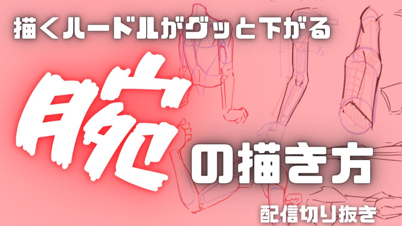 【配信切り抜き】腕の描き方（人体解剖学から理解しましょ！）