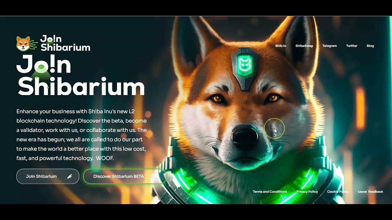 Shibarium Live (SHIBA INU) Update - SHIB