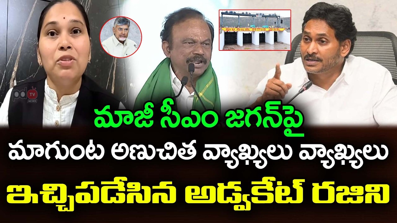 మాగుంటకు ఇచ్చిపడేసిన అడ్వకేట్ రజిని | Advocate Rajini Fire On Magunta Srinivasula Reddy | PDTV News