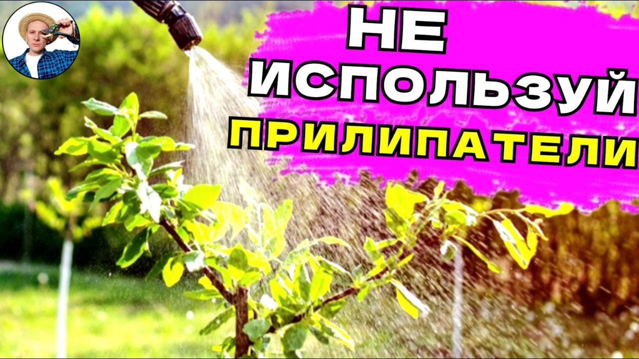 ПРИЛИПАТЕЛИ НАС ОБМАНУЛИ Что Добавить в Баковую Смесь Для Улучшения Обработки