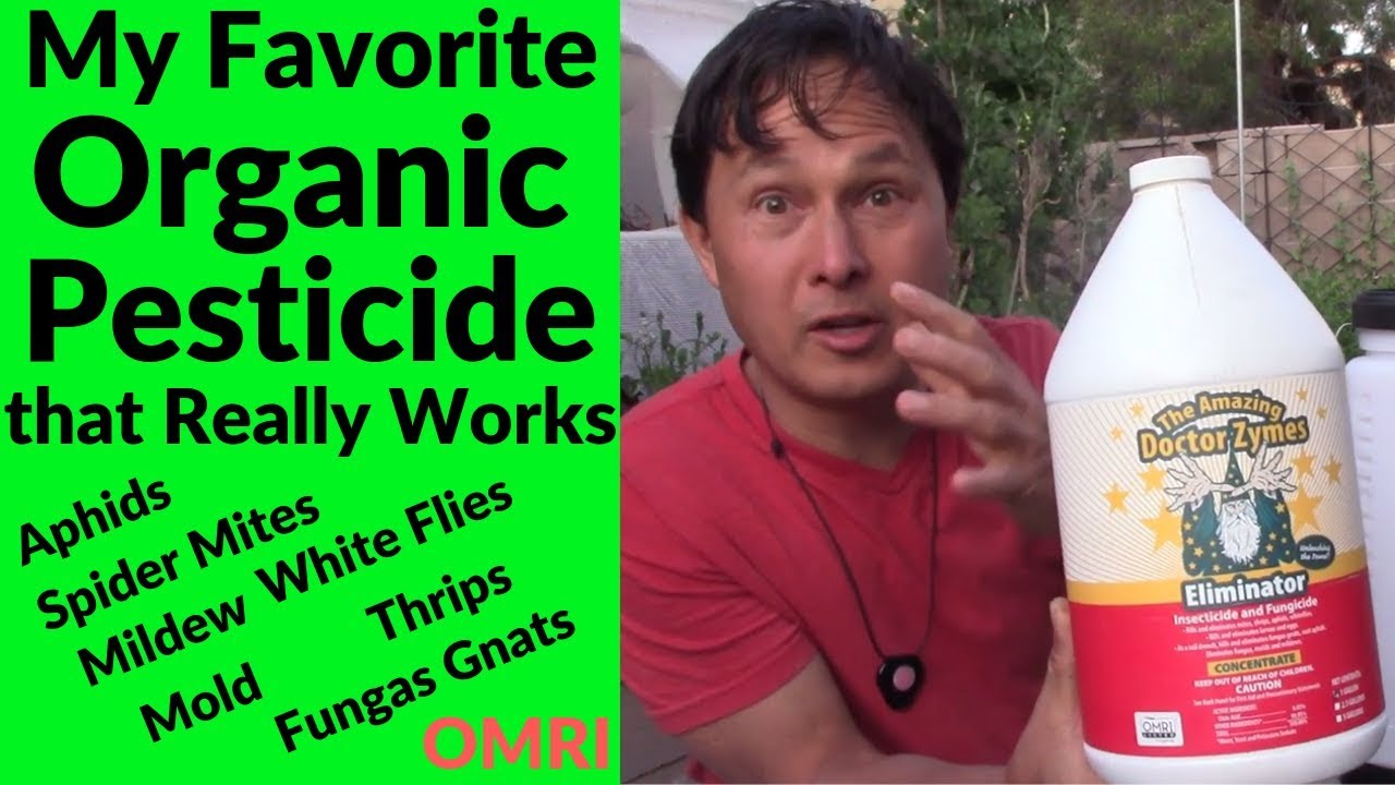 My New Favorite Natural & Organic Pesticide That Really Works
