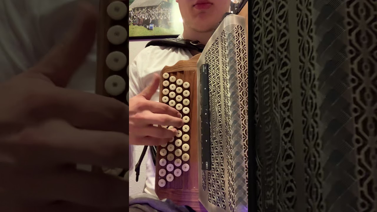 Mario Boarischer steirische Harmonika