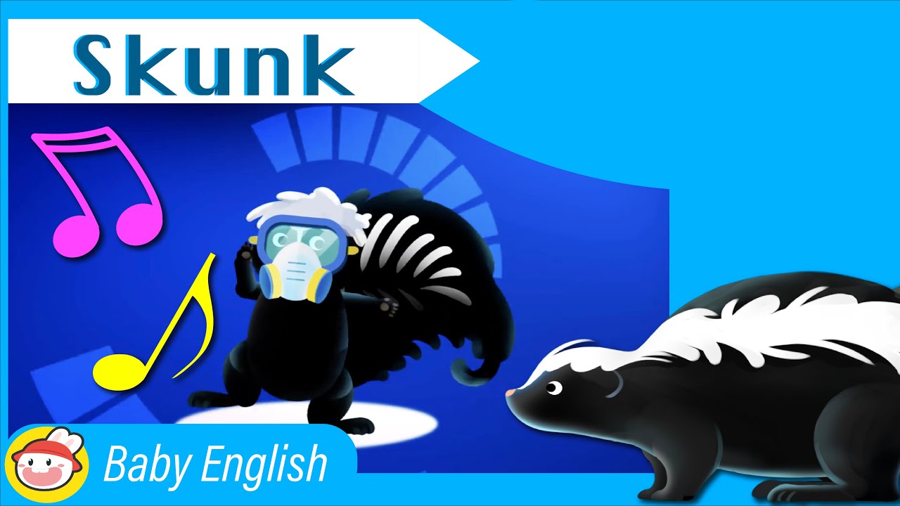 Skunk | Awesome Animals | Music for Kids