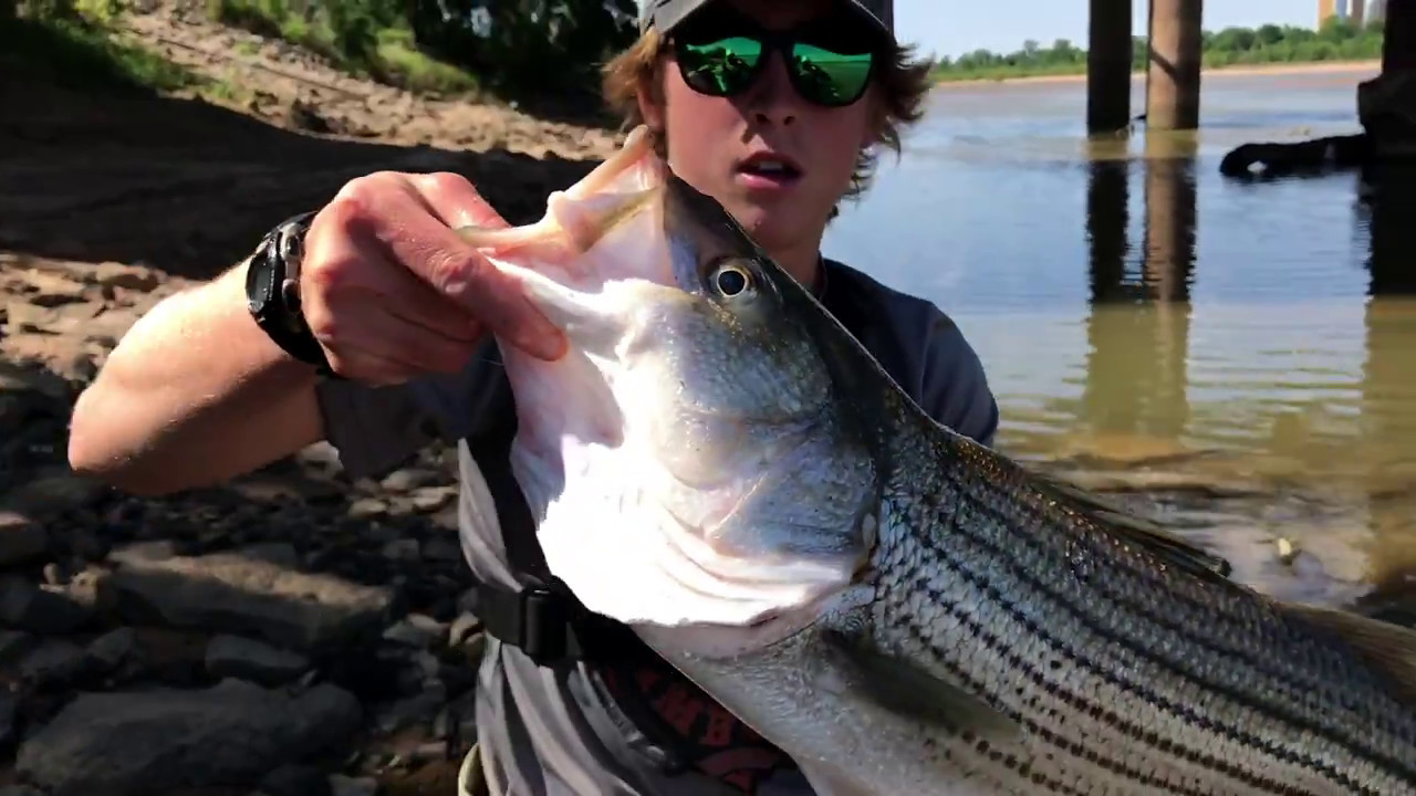 Striper fishing in the Arkansas river - Oklahoma