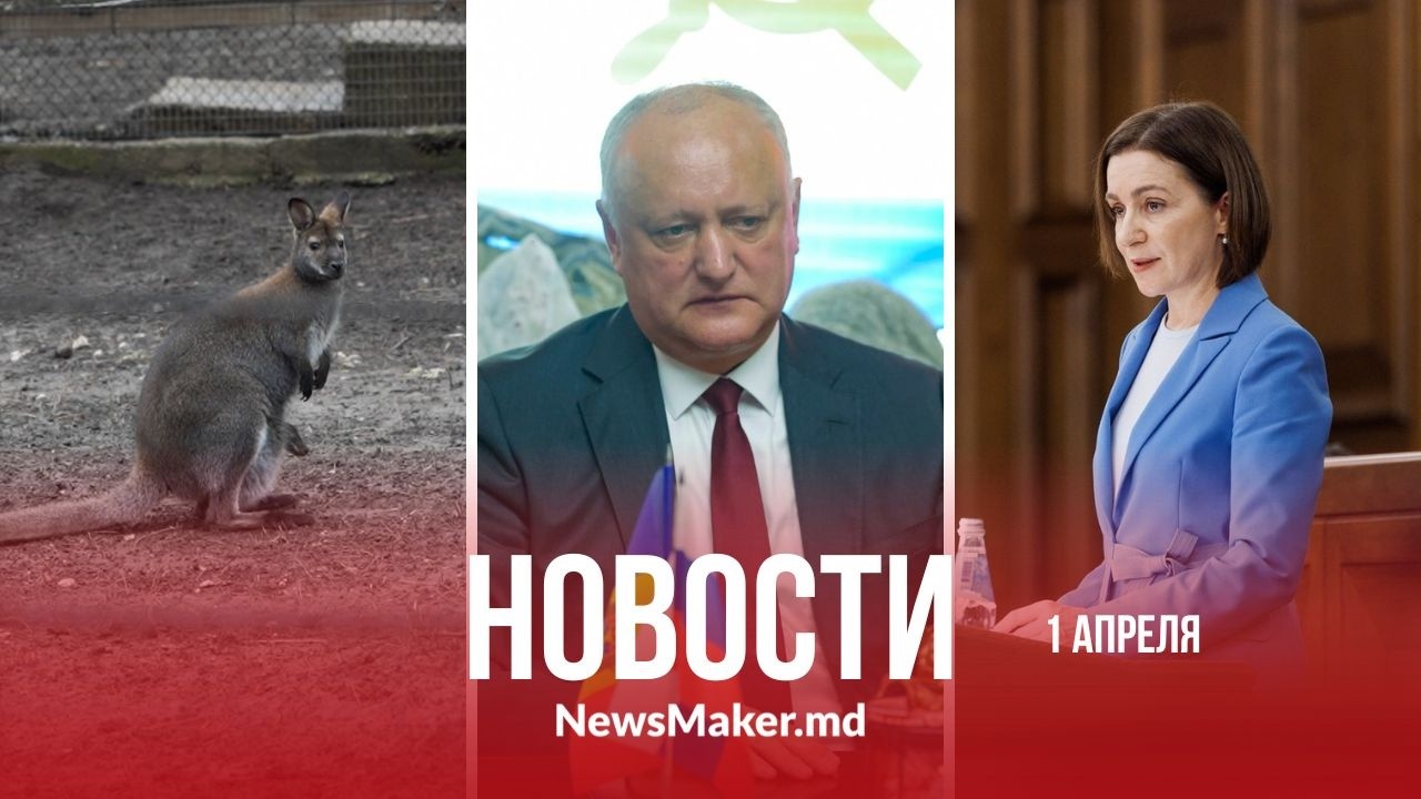 Санду читает стихи/ Додон &laquo;кланяется&raquo; России/Цены на дизель ведут к коллапсу?
