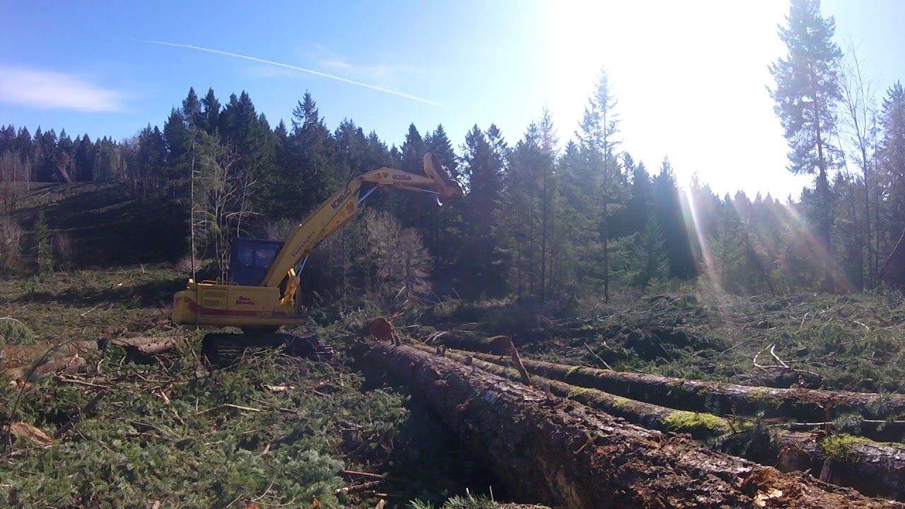 shovel logging