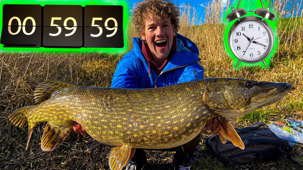 DE CHALLENGE - VANG EEN METERSNOEK BINNEN 2 UUR!!