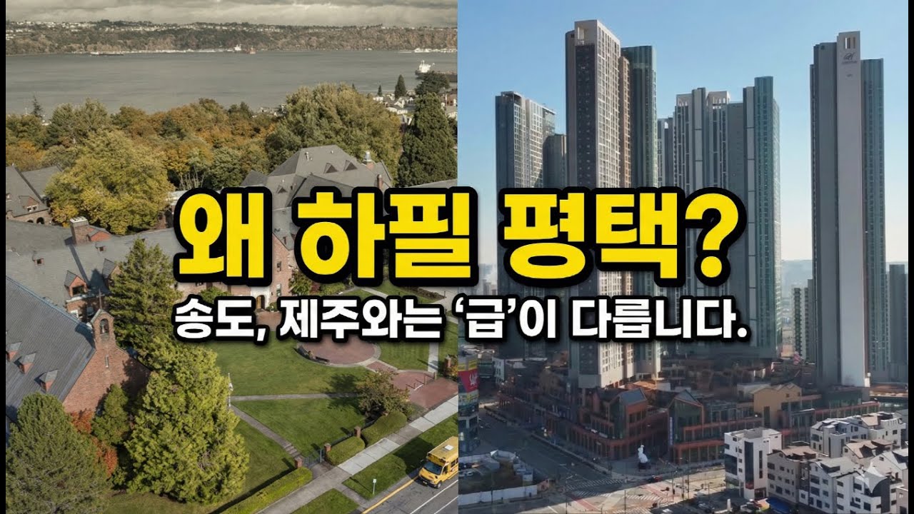 왜 140년 전통의 미국 명문은 '평택'을 선택했을까? (송도, 제주와는 차원이 다른 이유) #고덕삼성 #지제역 #화양지구 #브레인시티