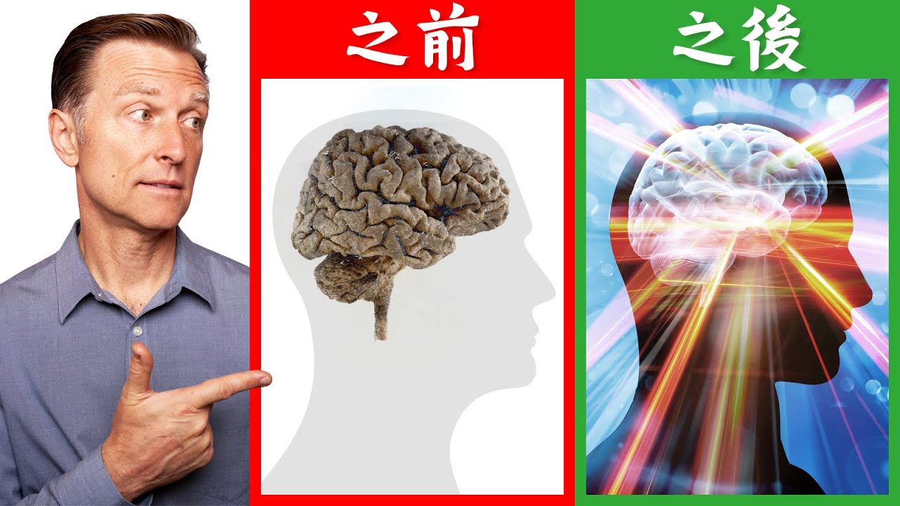 斷食增強腦力,思考敏銳,神奇16小時自噬作用,柏格醫生 Dr Berg