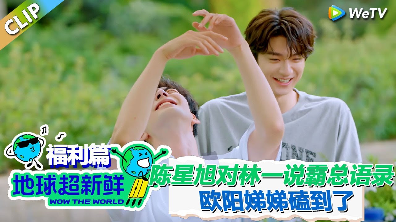 【地球超新鲜CLIP】：陈星旭霸总式跟林一说一起住！欧阳娣娣：“你们是一星一意”！#刘宇宁 #龚俊 #陈赫 #李乃文 #孙红雷