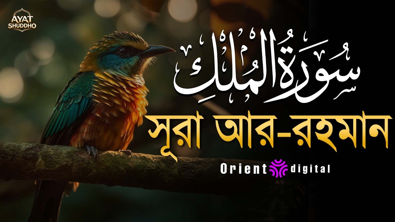 সূরা মুলক এর স্বর্গীয় তিলাওয়াতে আত্মাকে প্রশান্ত করুন ┇ Surah Al Mulk Recited by Fares Ahmed Hassan