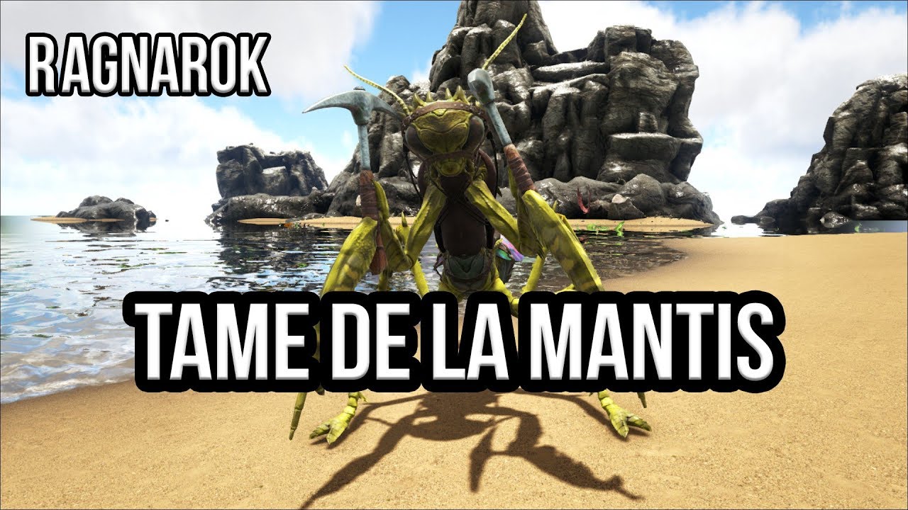 TAME DE LA MANTIS SUR RAGNAROK SOLO : Ark Survival Evolved