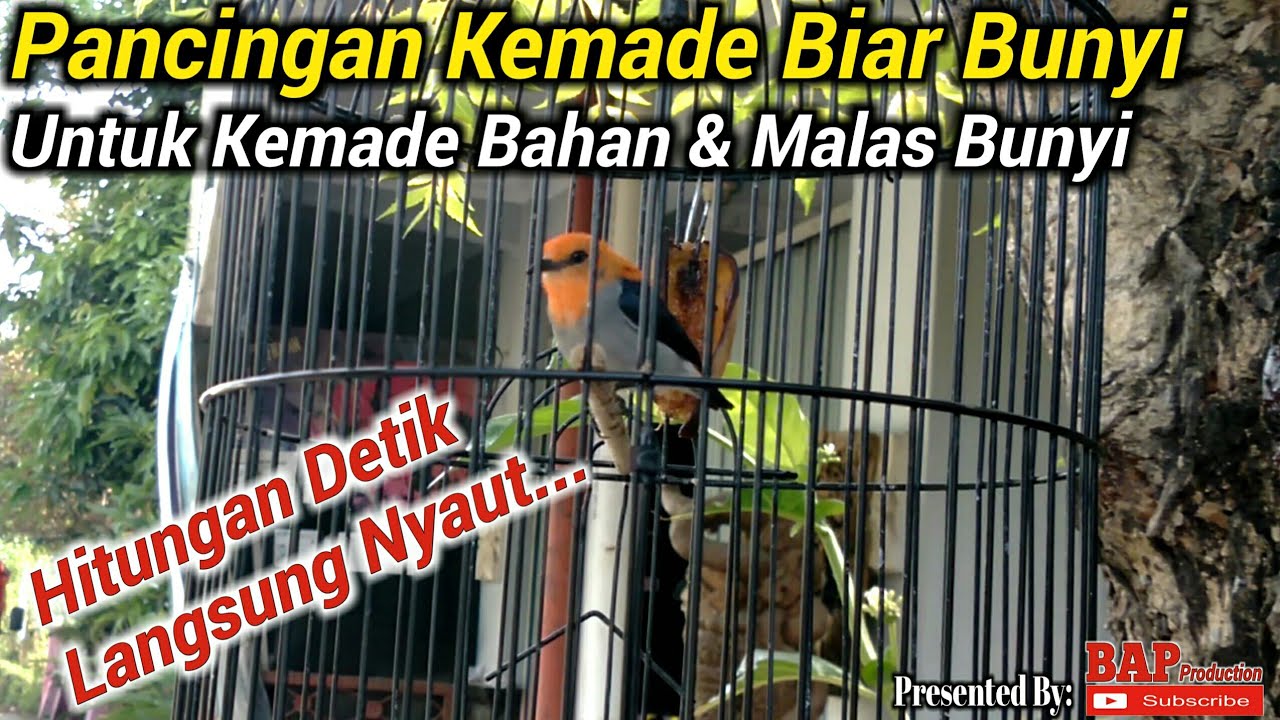 PANCINGAN KEMADE AGAR BUNYI
